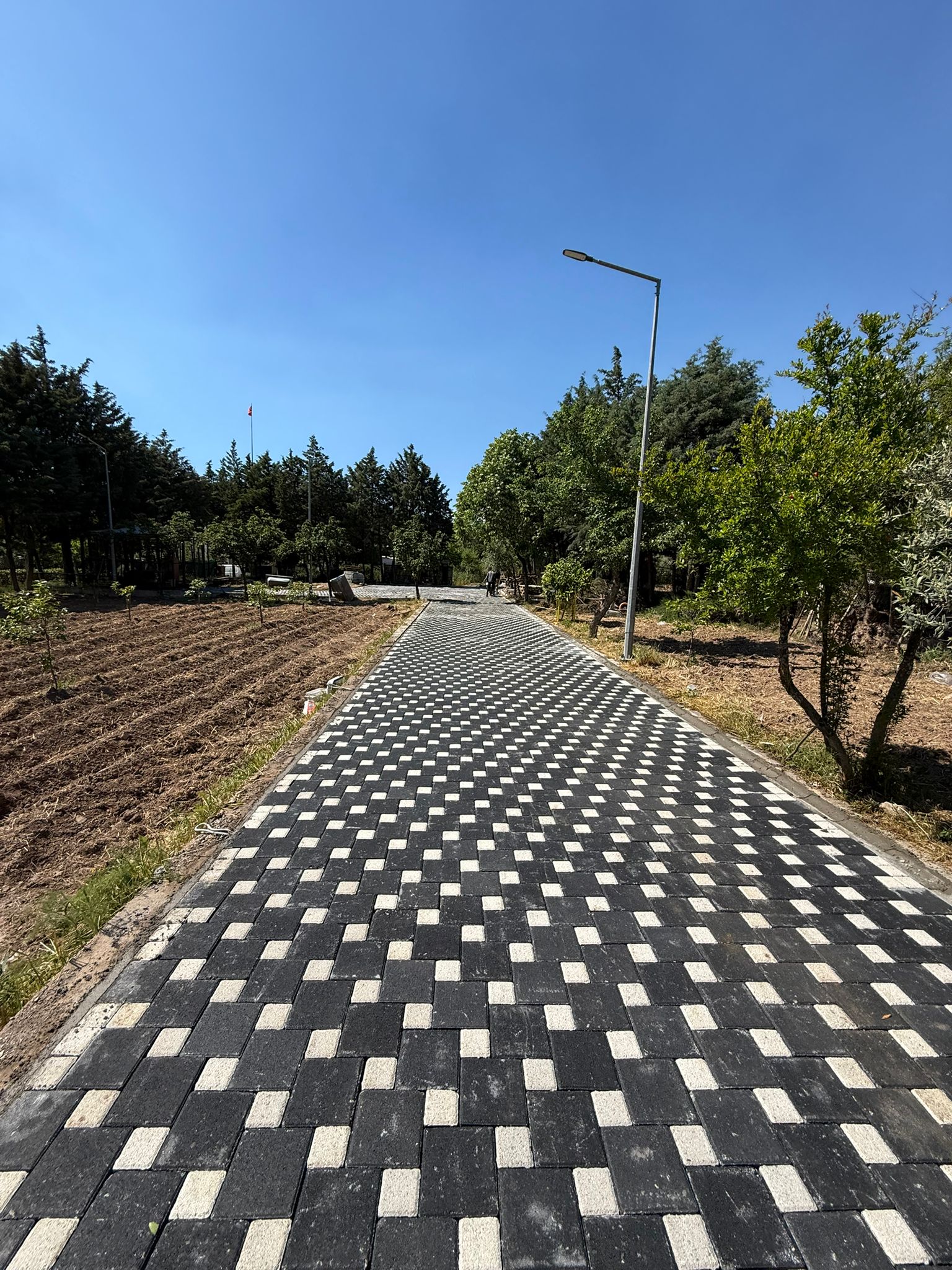 izmir kilit parke tasi haziran 13